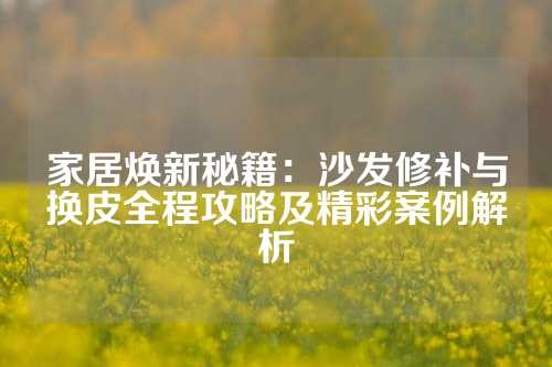 家居焕新秘籍:沙发修补与换皮全程攻略及精彩案例解析