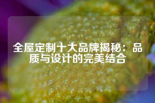 全屋定制十大品牌揭秘：品质与设计的完美结合