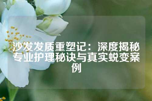 沙发发质重塑记：深度揭秘专业护理秘诀与真实蜕变案例