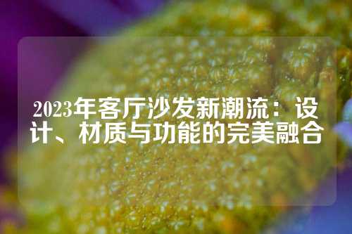 2023年客厅沙发新潮流：设计、材质与功能的完美融合