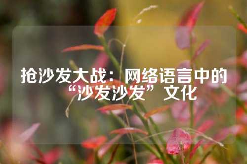 抢沙发大战：网络语言中的“沙发沙发”文化