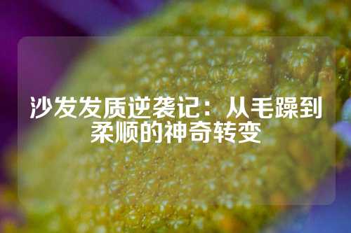 沙发发质逆袭记：从毛躁到柔顺的神奇转变