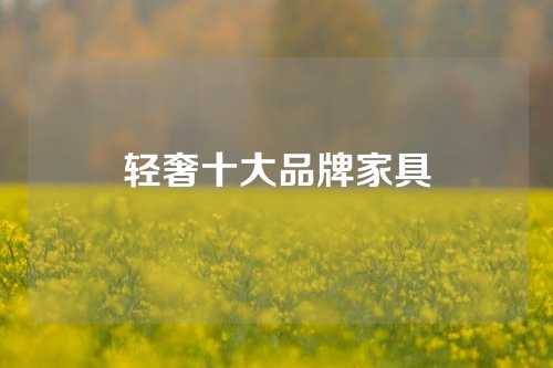 轻奢十大品牌家具