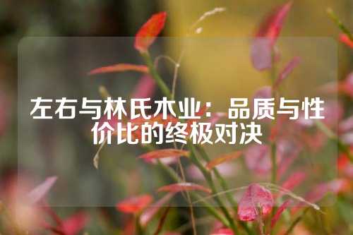 左右与林氏木业：品质与性价比的终极对决