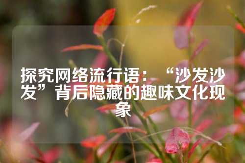 探究网络流行语:“沙发沙发”背后隐藏的趣味文化现象