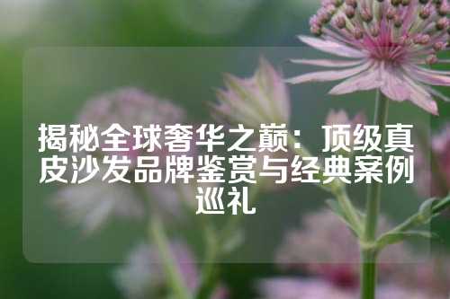 揭秘全球奢华之巅：顶级真皮沙发品牌鉴赏与经典案例巡礼