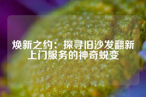 焕新之约：探寻旧沙发翻新上门服务的神奇蜕变