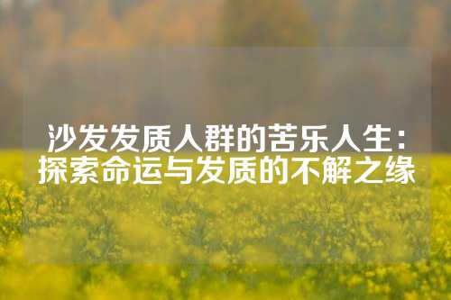 沙发发质人群的苦乐人生：探索命运与发质的不解之缘