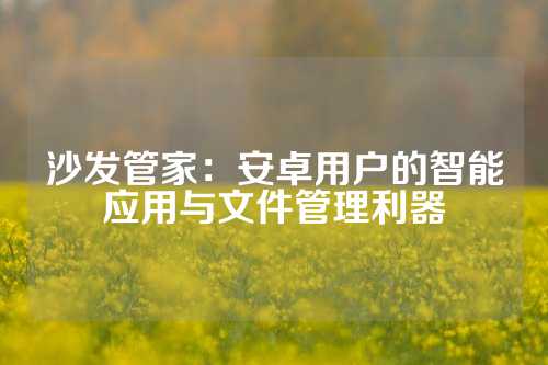 沙发管家：安卓用户的智能应用与文件管理利器
