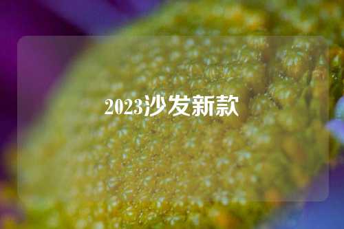 2023沙发新款