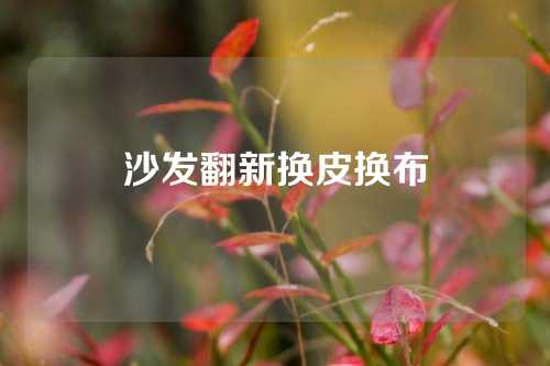 沙发翻新换皮换布