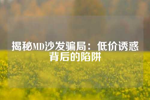 揭秘MD沙发骗局：低价诱惑背后的陷阱