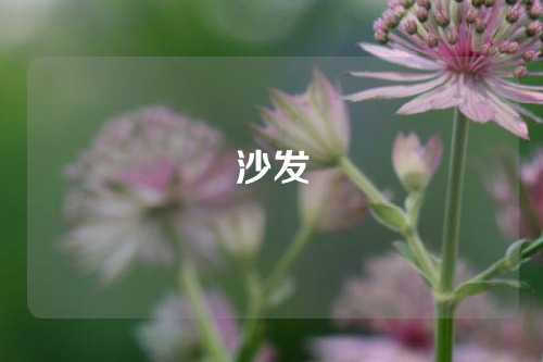 沙发