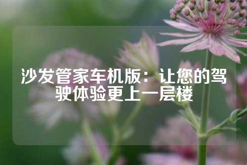 沙发管家车机版：让您的驾驶体验更上一层楼