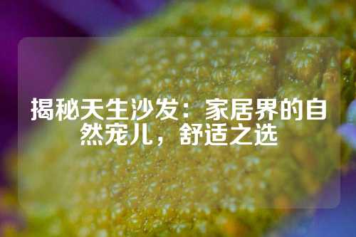 揭秘天生沙发：家居界的自然宠儿，舒适之选