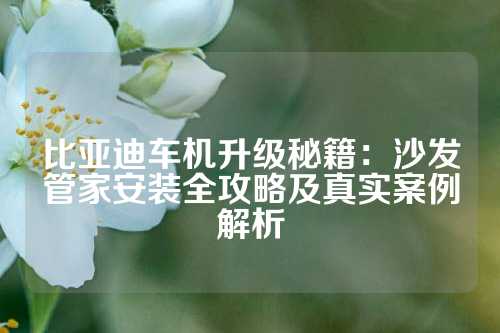 比亚迪车机升级秘籍：沙发管家安装全攻略及真实案例解析