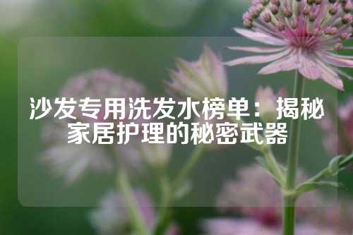沙发专用洗发水榜单：揭秘家居护理的秘密武器