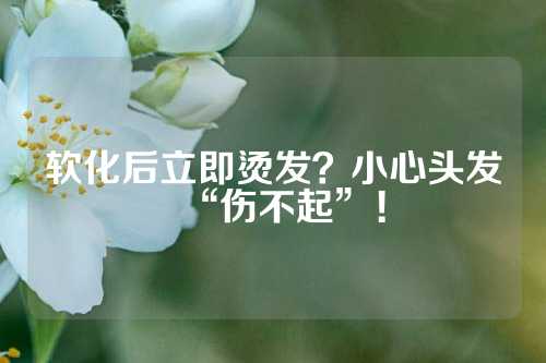 软化后立即烫发？小心头发“伤不起”！