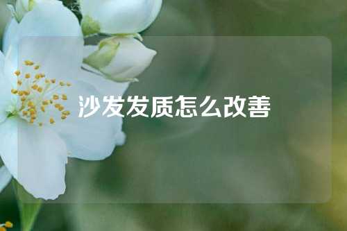 沙发发质怎么改善